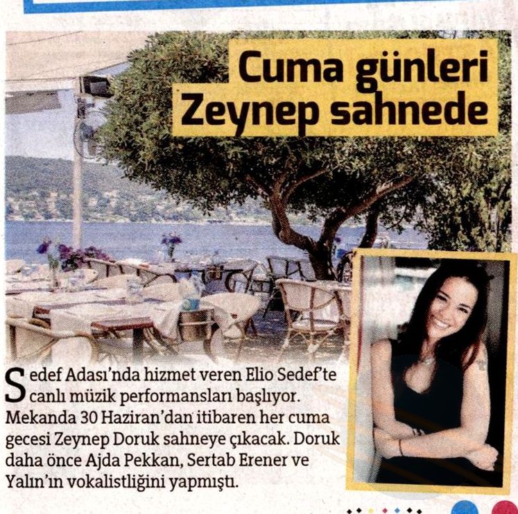 Hürriyet Kelebek - 29.06.2017